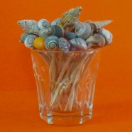 Piques Coquillages