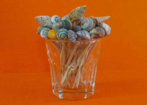 Piques Coquillages