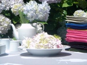 bouquet ortensia dans un plat creux family surf par assiettes et cie