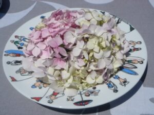bouquet ortensia dans un plat creux family surf par assiettes et cie