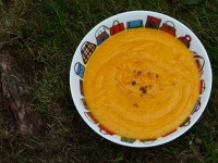 puree-legumes-oublies