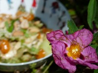 salade-tomates-sesame