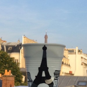 Avec cette promenade sur les bords de Seine, découvrez les grands monuments de Paris : le Sacré coeur, Notre Dame, le grand Palais, l'Arc de Triomphe et bien sûr la Tour Eiffel en silhouette... Et ces tasses sont aussi parfaites pour vos desserts en format individuel