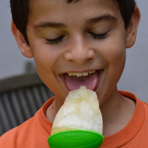 moules à glace originaux avec une feuille pour socle et des insectes pour façonner des glaces, une création tovolo lavables au lave vaisselle donc archi pratique et qui va enchanter les glaces d'été des vos enfants