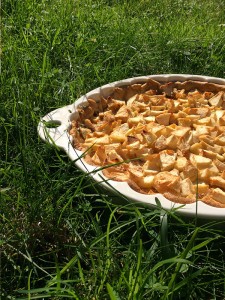 tarte aux pommes plat revol les naturels