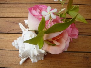 un bouquet coquillage pour faire de petits centres de table et mettre en lumières vos tables de fetes sur assiettes et gourmandises