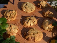 cookies-pepites-chocolat-2 petits biscuits aux pépites de chocolat blanc et au lait par assiettes et gourmandises présentés sur la planche à découper big apple NYC