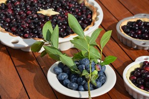 tarte aux myrtilles de combo, les myrtilles bio du pays basque, une recette d'assiettes et gourmandises dans des nouveaux plats de porcelaine revol