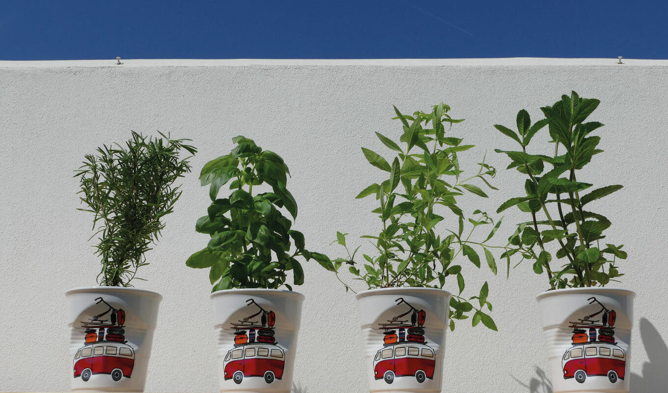 les tasses Revol en format XL cela fait des pots à ustensiles magnifiques - design par béatrice pene lassus