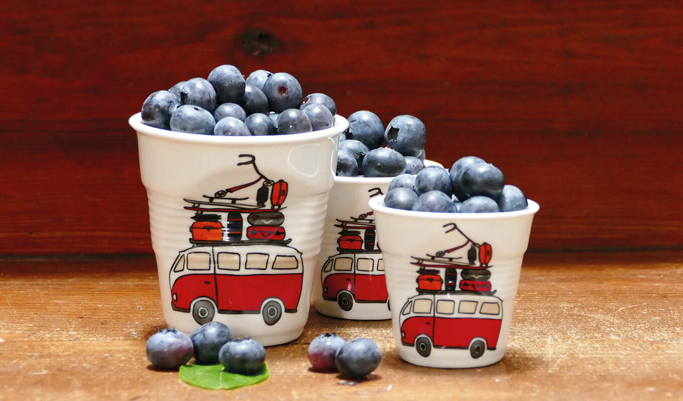 les-tasses-assiettes-compagnie-revol-france les tasses à café revol, tous les modèles d'assiettes proposés par assiettes et compganie, les créations exclusives et celles de la maison revol - made in france