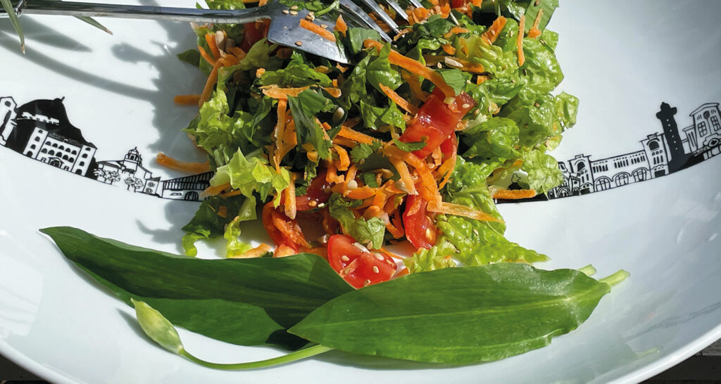 salade ail des ours sur saladier basque par assiettes et compagnie