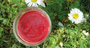 les desserts en rouge et blanc est un hommage aux fêtes du pays basque et notamment aux fêtes de Bayonne, une série de recettes créées par béatrice pene lassus pour le site assiettes et compagnie