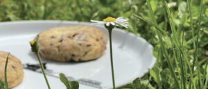 bienvenue sur assiettes et compagnie, voici une gourmandise du blog un cookie parfait ! sur une assiette basque