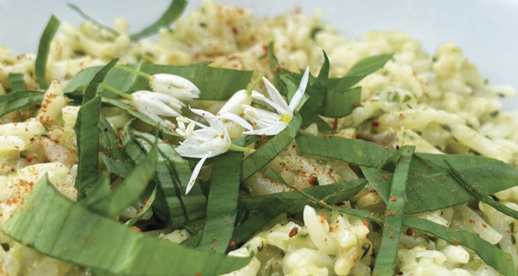 risotto à l'ail des ours dans un grand bol pays basque par assiettes et compagnie