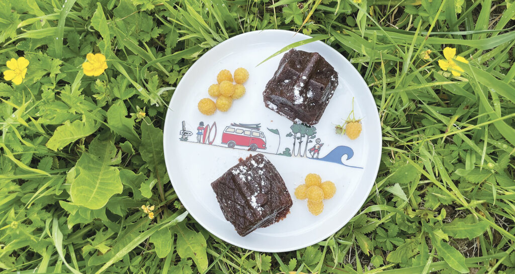 fondant au chocolat sans beurre en forme de petites maisons, présentés sur une assiette la plage par assiettes et compagnie... et quelques framboises blanches du jardin