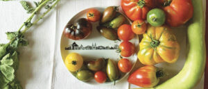 les recettes de béatrice sont sur le blog assiettes et gourmandises, des recettes depuis 2006, des centaines de bons petits plats, toujours joliement présentés