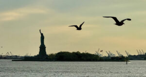 quoi de neuf à new york en 2025, les bonnes adresses de béatrice d'assiettes et compagnie