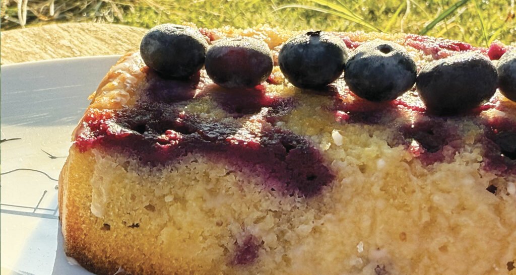 un gateau aux myrtilles de cambo, aux citrons de nice et à l'amande, une recette délicieuse par assiettes et compagnie